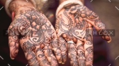 demo-attachment-39-james-douglas-730-unsplash