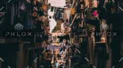 demo-attachment-57-theo-roland-410842-unsplash